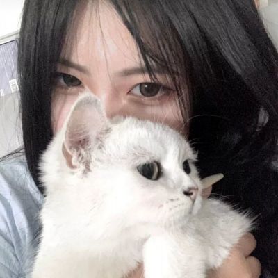 超时空乱斗破解版下载
